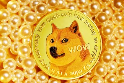 Dogecoin-Million-Dollar-Transactions-Soar-After-Trump-Inauguration,-Is-A-Bounce-Coming?