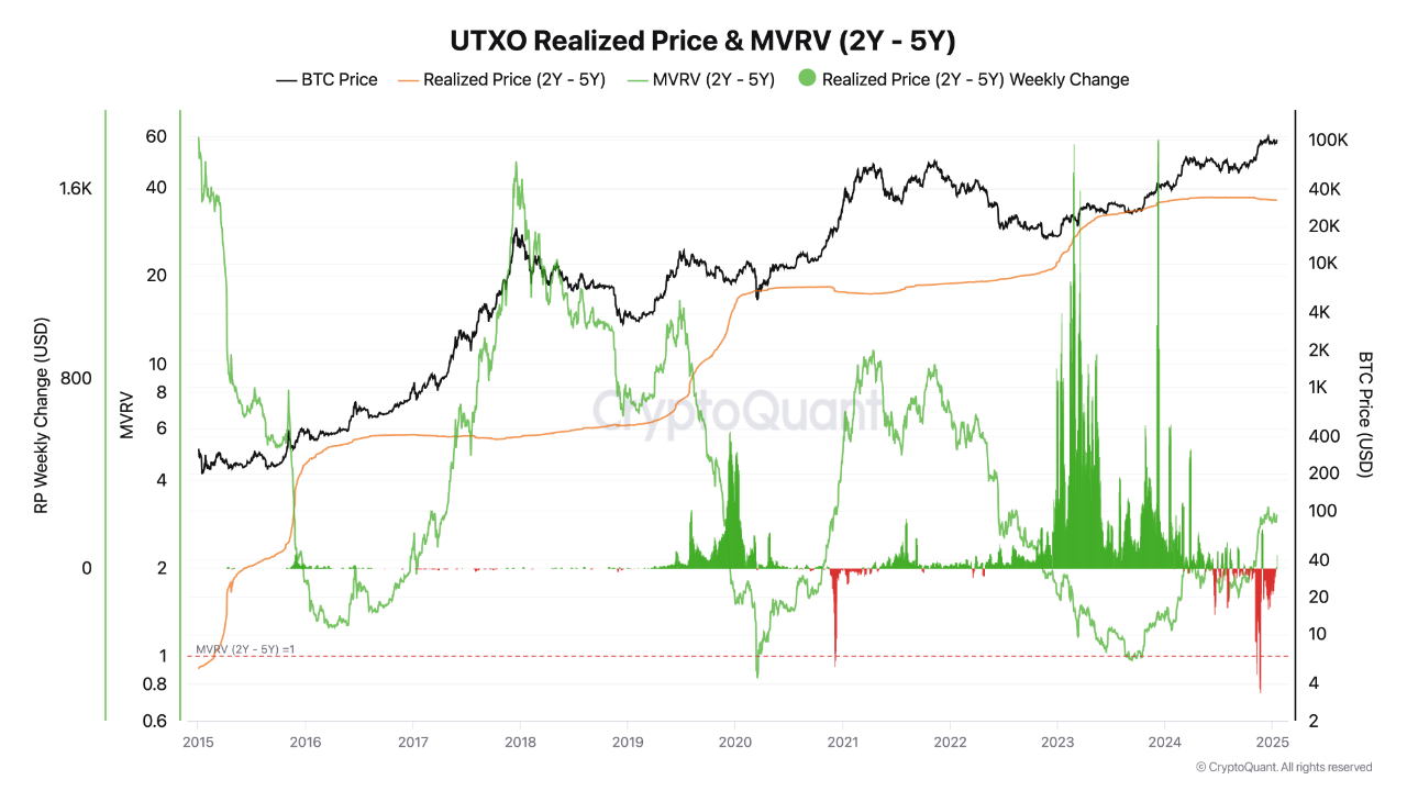 Bitcoin’s 2-5 Year Utxo Signals Bull Market Continuation – Details 2 Bitcoin